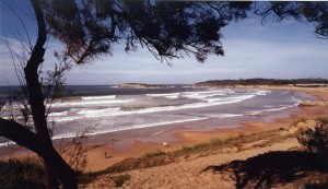 playa de somo2